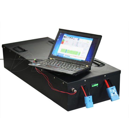 Wiederaufladbarer 10kw LiFePO4 Lithium-Akku 48V 200ah Akku mit 200A BMS