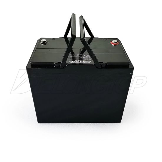 Tragbarer Lithium-Ionen-LiFePO4-Akku 4s2p Pack 12V 100ah