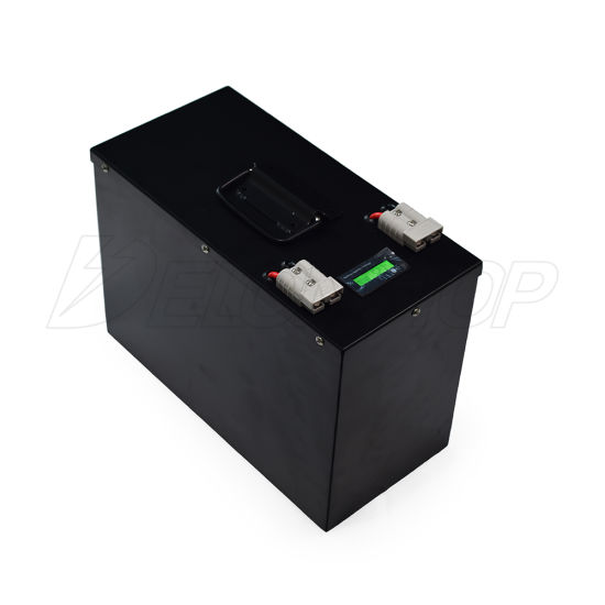 Li-Ion LiFePO4 Akku 24V 100ah Lithium Batterie Phosphat Batteriezelle