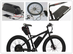 Soem-wiederaufladbare Li-Ion 36V 10ah 12ah 15ah Delfin-artige elektrische Fahrradbatterie