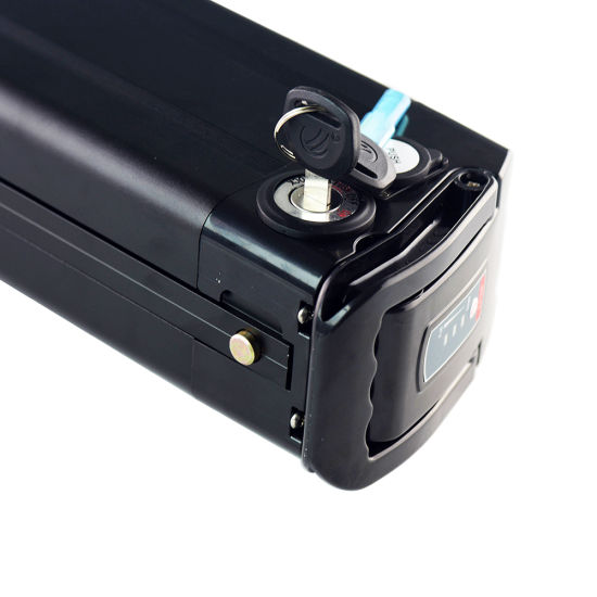 Kundenspezifische Lithium-Ionen-Batterie 24V 36V 48V Lithium-Ionen-Batterie für Elektrofahrrad Silver Fish