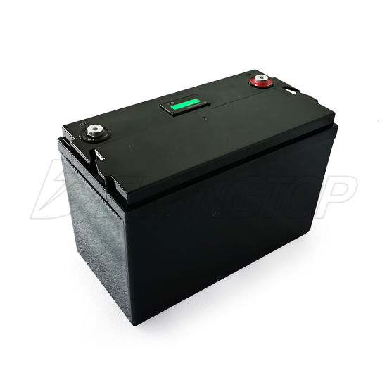 5000+ Lebenszyklen 12V 120ah LiFePO4 Lithium-Eisen-Zyklus-Akku mit integriertem BMS