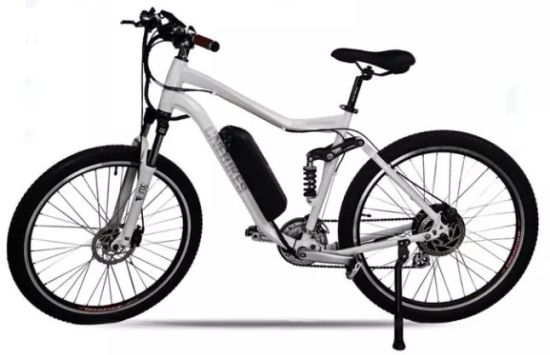 Wiederaufladbarer Lithium 36V 10.4ah Hailong Akku für Elektrofahrrad Mountain Ebike